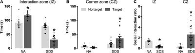 Glutamatergic Neurotransmission Controls the Functional Lateralization of the mPFC in the Modulation of Anxiety Induced by Social Defeat Stress in Male Mice